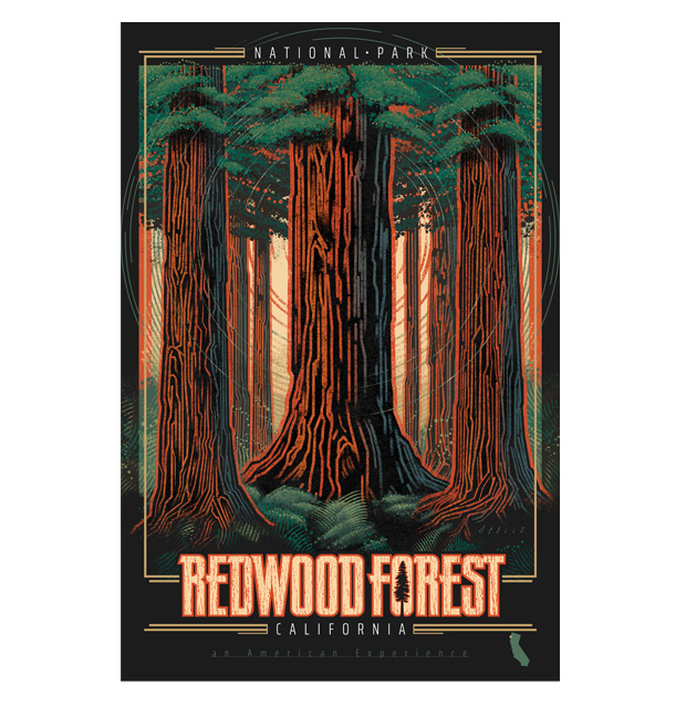 Redwood Forest Poster